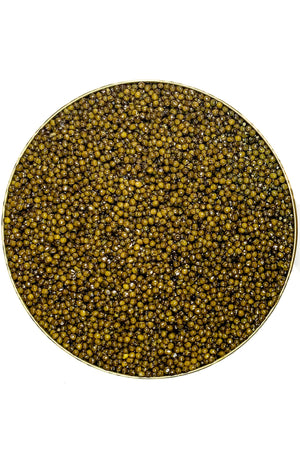 Sturgeon Caviar, Premium Quality 16 oz | 454 g