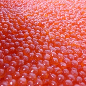 Salmon Red Caviar, Premium Chum Roe 1.1 lb | 500 g