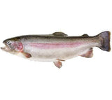 Eco Food - Rainbow Trout in Own Natural Juice